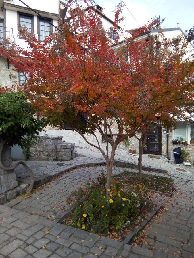 Guest Room At Number Nine Ohrid Exterior foto